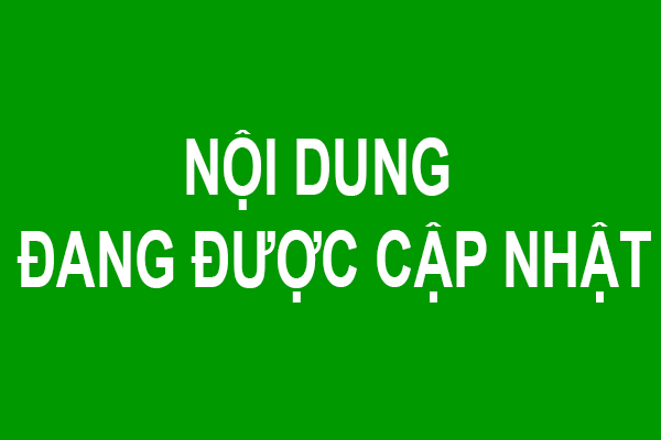 Các bài viết đang được cập nhật
